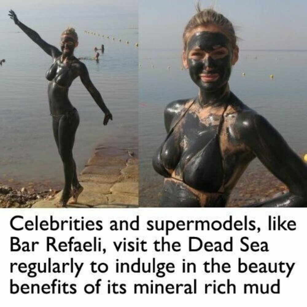 4 AUTHENTIC Dead Sea Mud Masks Facials from Israel Acne Stocking Stuffer - Picture 4 of 6